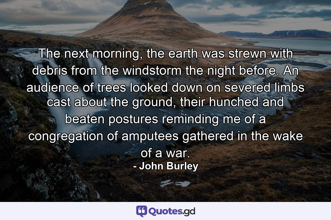 The next morning, the earth was strewn with debris from the windstorm the night before. An audience of trees looked down on severed limbs cast about the ground, their hunched and beaten postures reminding me of a congregation of amputees gathered in the wake of a war. - Quote by John Burley