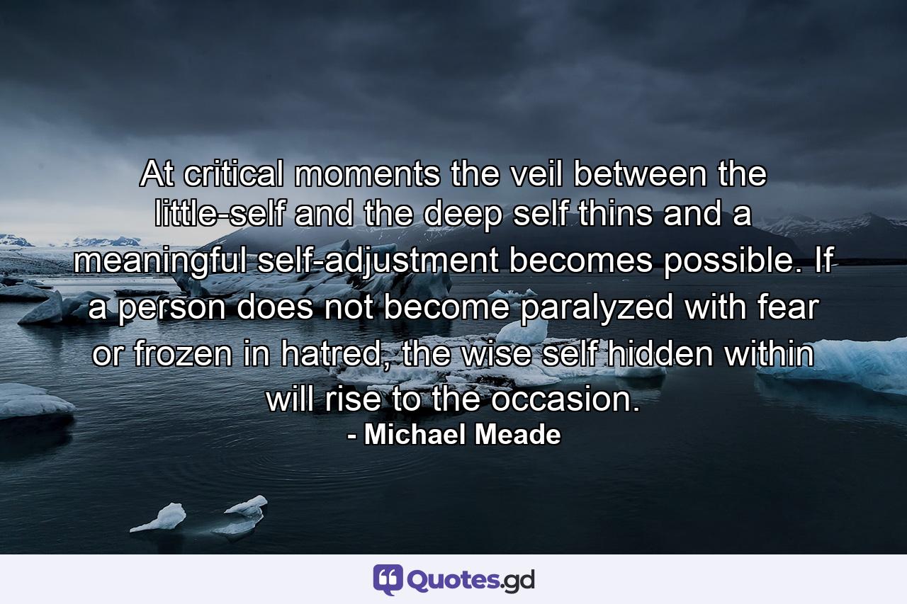 At critical moments the veil between the little-self and the deep self thins and a meaningful self-adjustment becomes possible. If a person does not become paralyzed with fear or frozen in hatred, the wise self hidden within will rise to the occasion. - Quote by Michael Meade