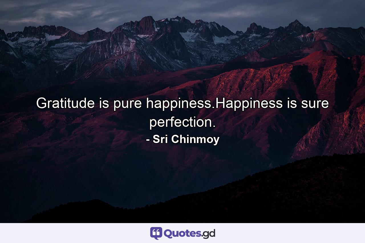 Gratitude is pure happiness.Happiness is sure perfection. - Quote by Sri Chinmoy