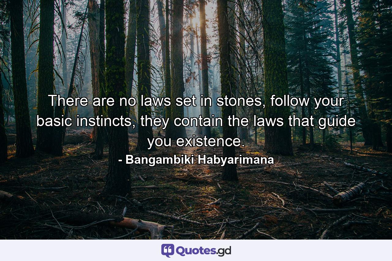 There are no laws set in stones, follow your basic instincts, they contain the laws that guide you existence. - Quote by Bangambiki Habyarimana